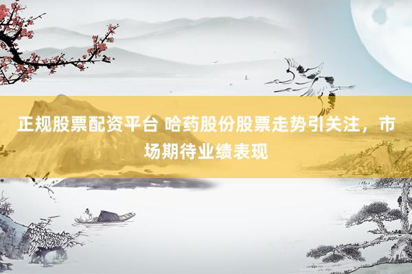正规股票配资平台 哈药股份股票走势引关注，市场期待业绩表现