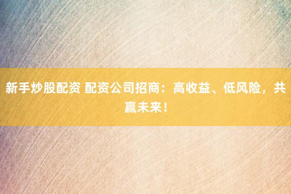 新手炒股配资 配资公司招商：高收益、低风险，共赢未来！