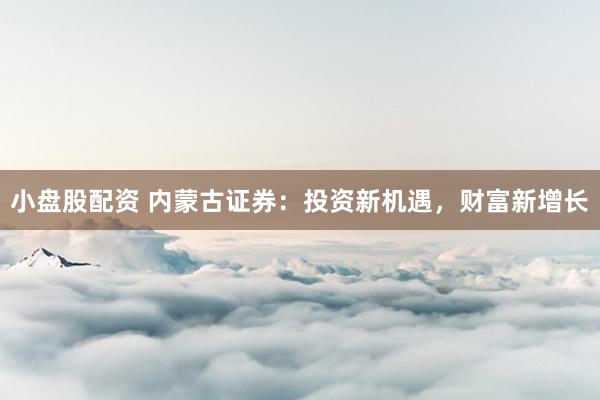 小盘股配资 内蒙古证券：投资新机遇，财富新增长