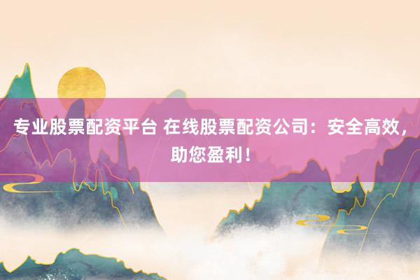 专业股票配资平台 在线股票配资公司：安全高效，助您盈利！