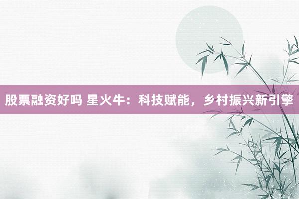 股票融资好吗 星火牛：科技赋能，乡村振兴新引擎