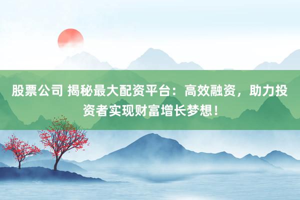 股票公司 揭秘最大配资平台：高效融资，助力投资者实现财富增长梦想！
