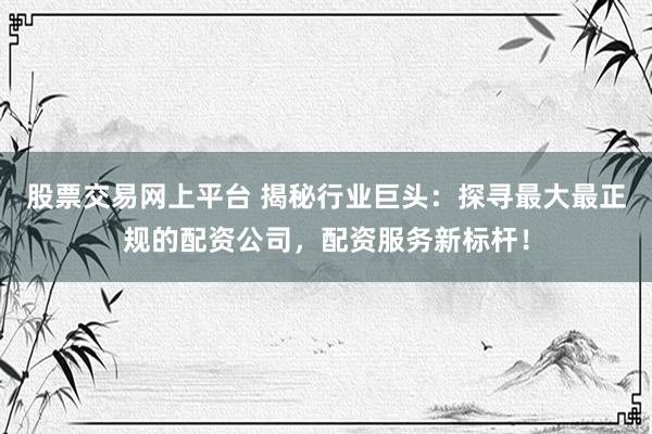 股票交易网上平台 揭秘行业巨头：探寻最大最正规的配资公司，配资服务新标杆！