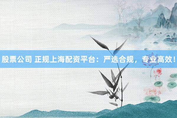 股票公司 正规上海配资平台：严选合规，专业高效！