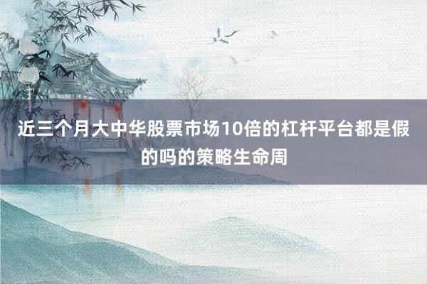近三个月大中华股票市场10倍的杠杆平台都是假的吗的策略生命周