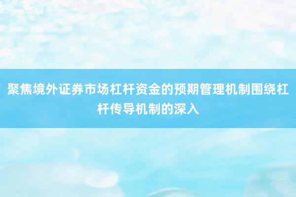 聚焦境外证券市场杠杆资金的预期管理机制围绕杠杆传导机制的深入